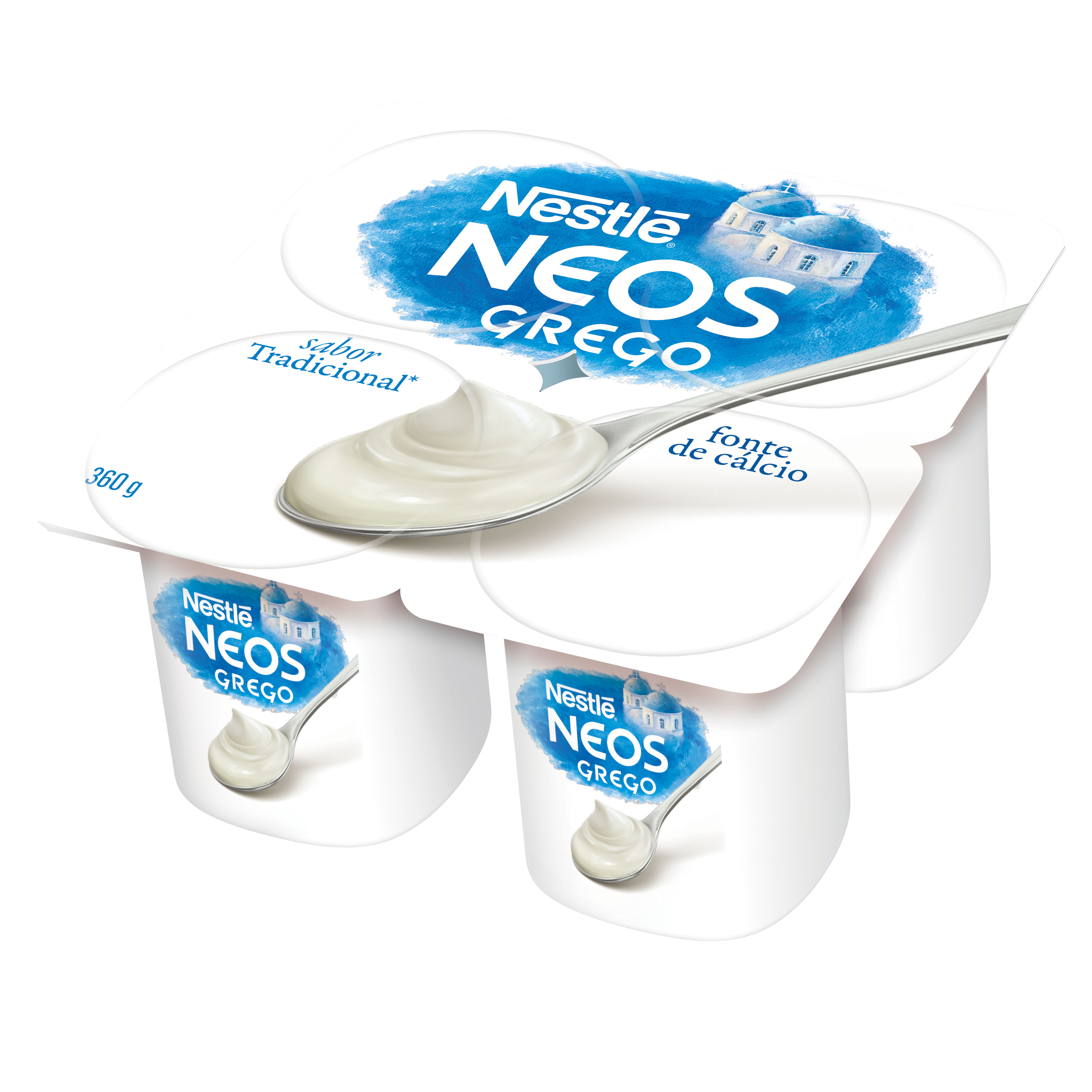 NESTLE GREGO TRADICIONAL 12X360