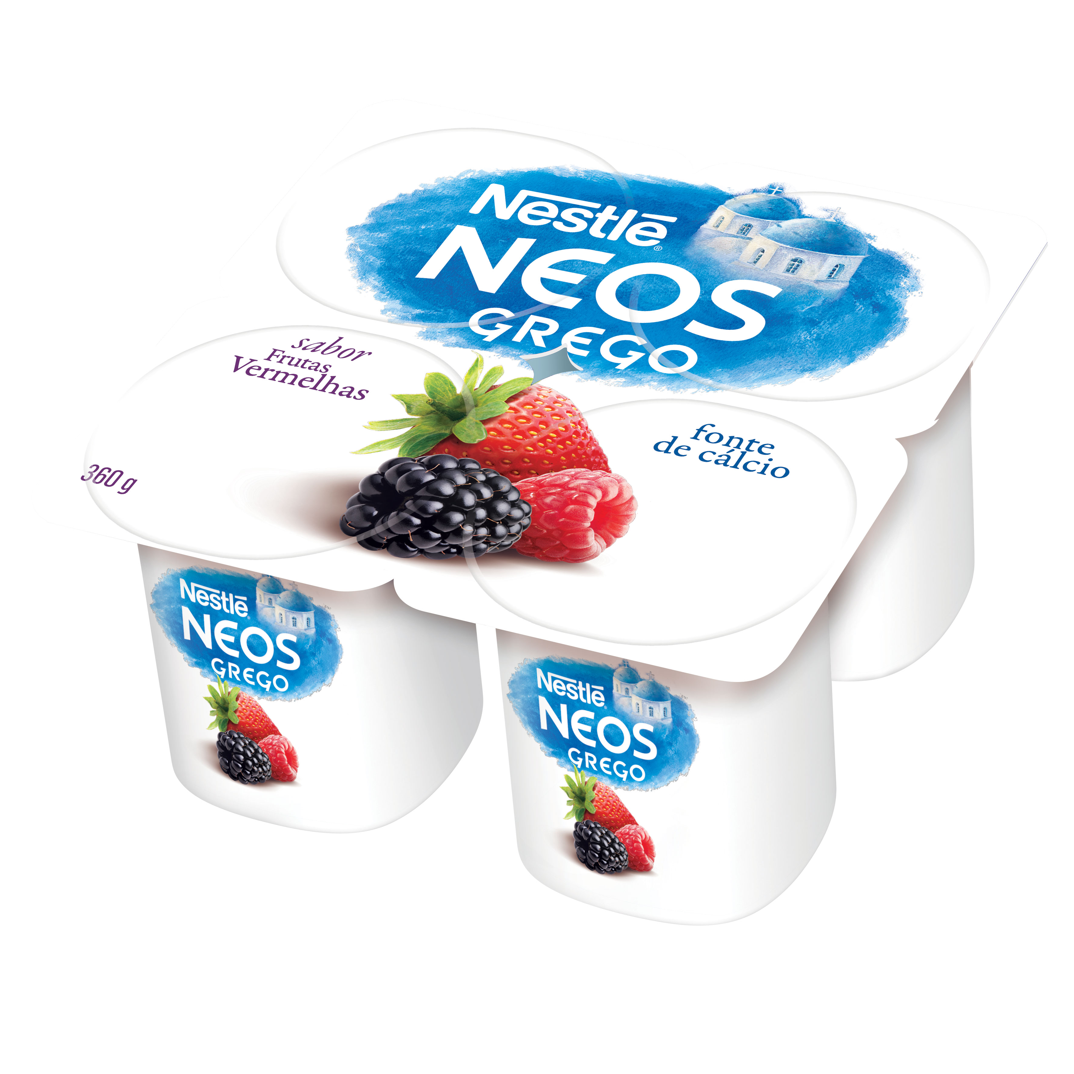 NESTLE GREGO FRUTAS VERM 12X360G 